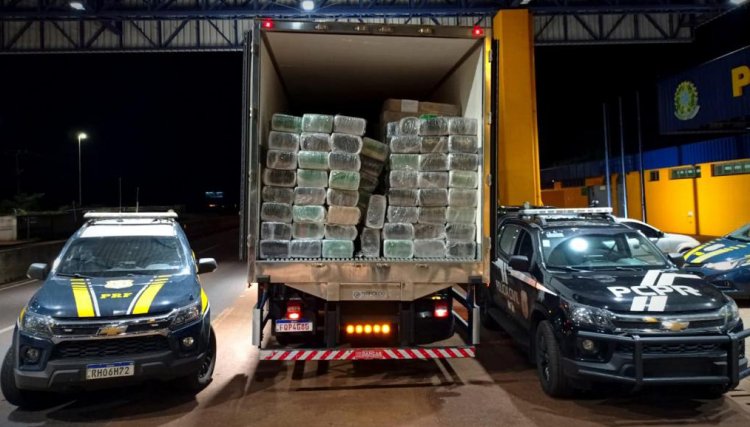 Maconha avaliada em R$ 2,5 milhões em carga de frango é apreendida na região  