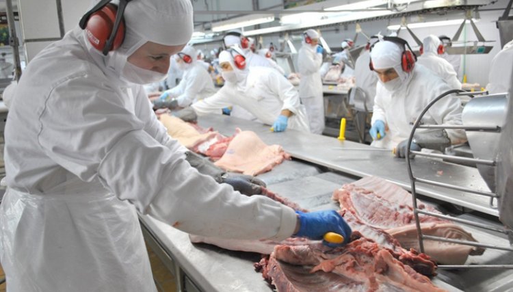 Exportações de carne suína batem recorde histórico em setembro 