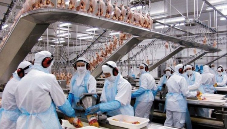 Sintrascoop fecha reajuste salarial histórico em benefício dos trabalhadores de Cooperativas da região Oeste