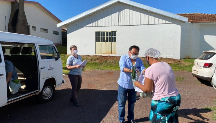 Famílias atendidas pelo CRAS de Cafelândia recebem kits de verduras da horta municipal