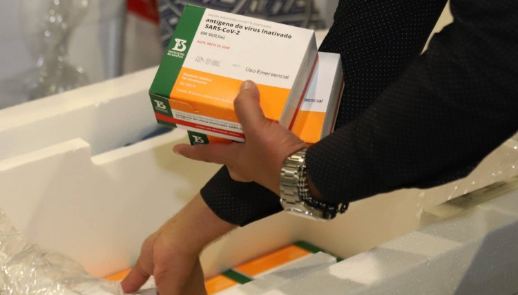 Paraná recebe 62 mil vacinas da Coronavac nesta sexta para ajustes na imunização