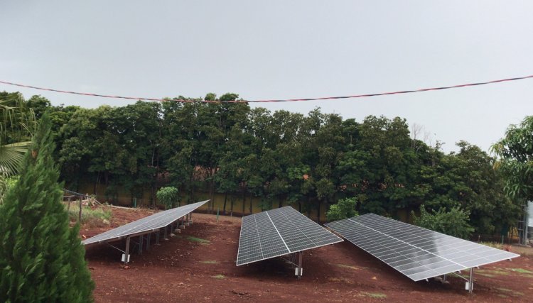 Avicultora da região Oeste concretiza sonho de implementar sistema solar