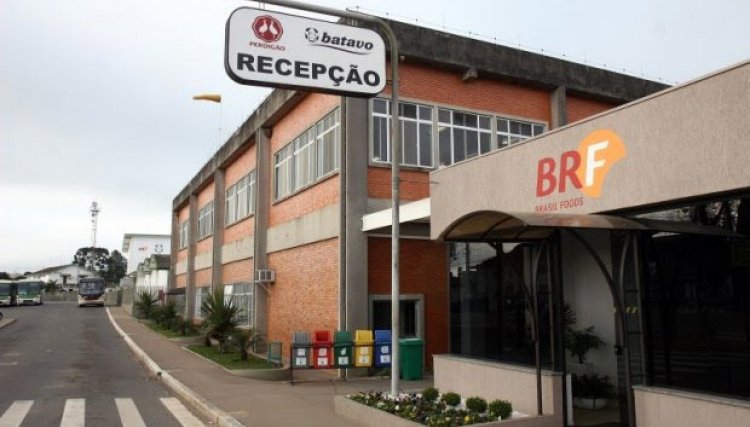 Avicultores do PR ficam preocupados com suspensão de abate pela BRF
