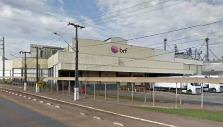 BRF vai suspender produção de perus na unidade de Francisco Beltrão
