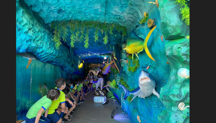 Exposição  Container  Vida Marinha é ofertada pela SEMEC aos alunos cafelandense