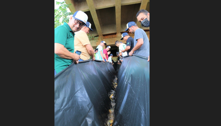 Copacol participa de repovoamento do Piquiri em Nova Aurora