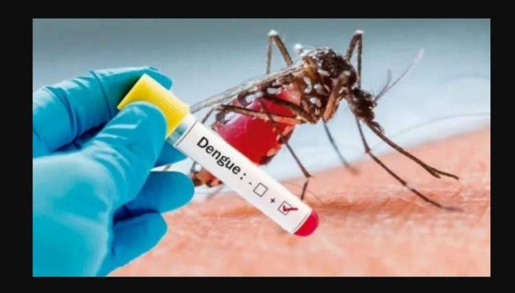 1.678 novos casos da Dengue são confirmados no Paraná