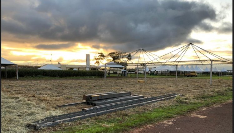 Copacol Agro começa semana que vem com destaque à diversidade no campo