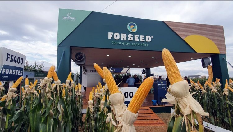 Forseed convida os produtores para conhecer o híbridos lançamento FS 400 super precoce no Copacol Agro, veja o vídeo