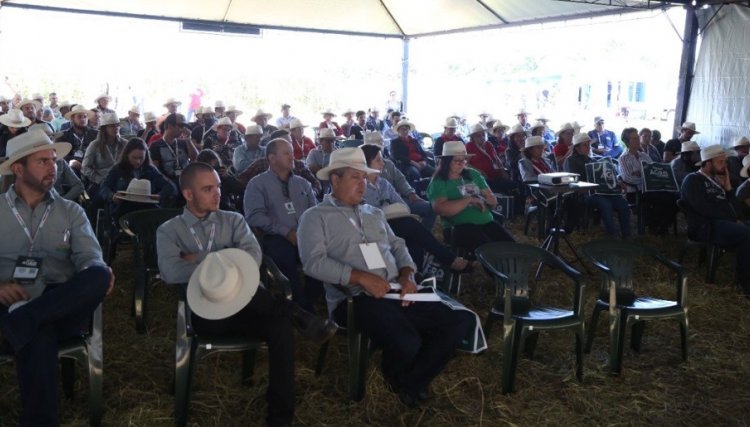 Já não é mais possível produzir frango sem tecnologias, segundo palestra apresentada no Copacol Agro