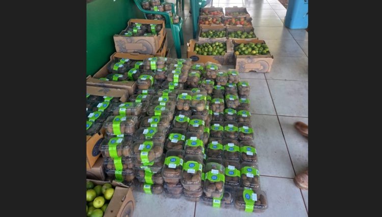 Vereadora Rose do Raio X, realiza a doação de frutas e legumes para famílias da Eco Ambiental em Cafelândia