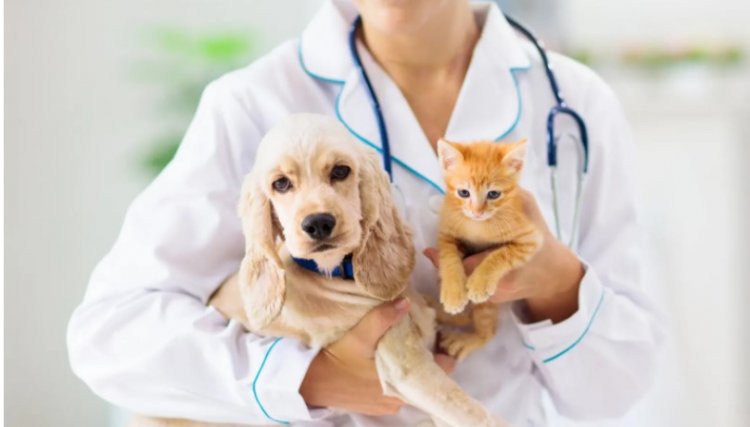 Clínica Veterinária da Univel está aberta para atendimento de animais de companhia e exóticos