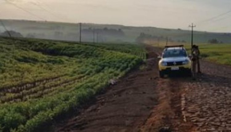 Carro furtado em Nova Aurora é recuperado em Cafelândia