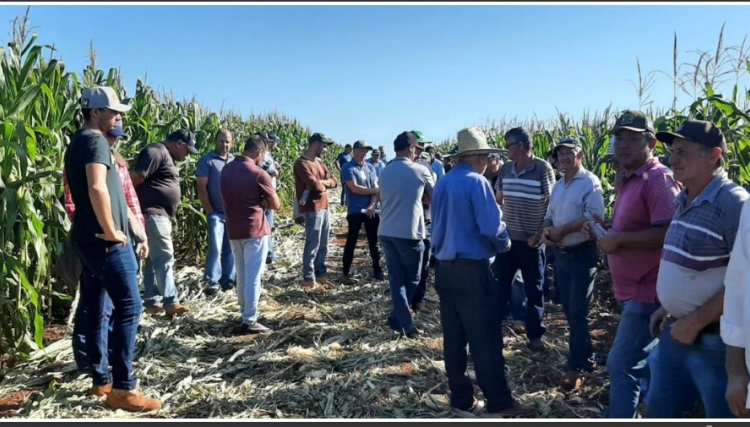 Copacol realiza Dia de Campo nas unidades