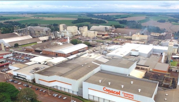 Região Oeste é responsável por 70% da produção de aves do PR e a Copacol é uma das principais produtoras 