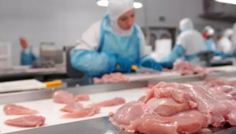 Brasil lidera exportações de carne de frango para o Catar