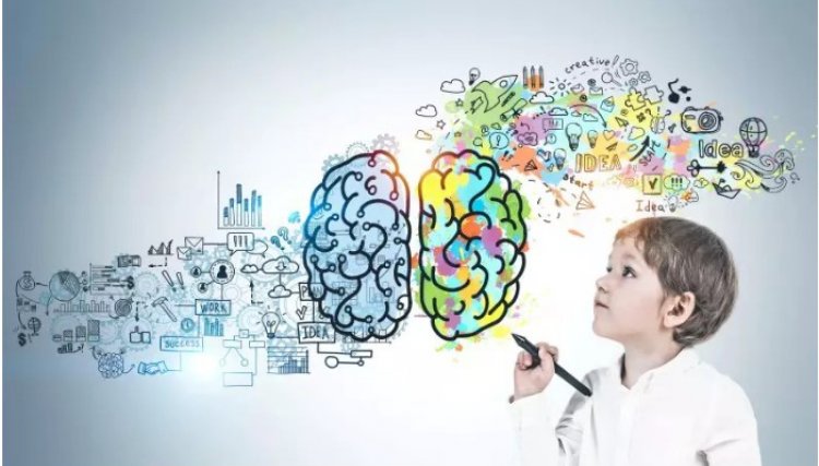 Brasil ultrapassa 240 crian&ccedil;as e adolescentes superinteligentes identificados por entidade global