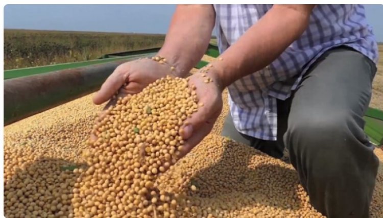 Governo do Paraná quer taxar a produção agropecuária e preocupa os produtores rurais