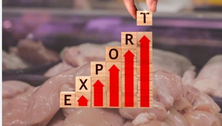 Volume de carne de frango exportada renova recorde em 2022