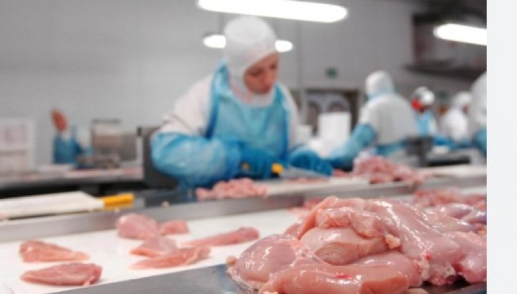 Exportações da carne de frango do Brasil devem crescer 4% neste ano