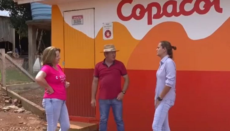 Com R$ 54,92 recebido por cabeça suinocultor da Copacol bate recorde, veja o vídeo
