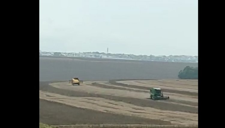 Agricultores são flagrados colhendo e semeando debaixo de chuva, veja o vídeo 