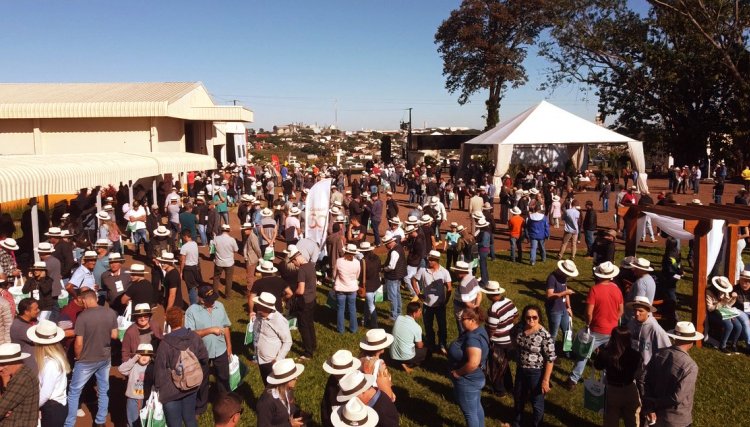 Copacol Agro fecha com público recorde de 8,6 mil visitantes, veja o vídeo