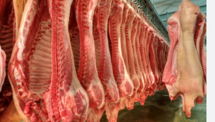 Exportações brasileiras de carne suína crescem 16,6% em abril