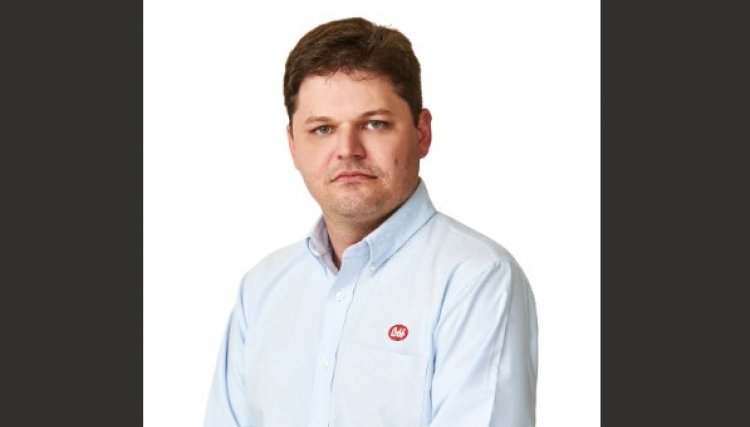 Cobb-Vantress apresenta estratégias de manejo no incubatório para melhor resultado na avicultura