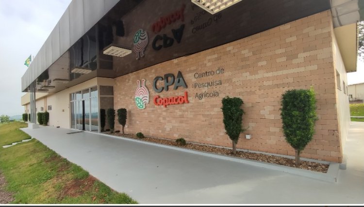 Pesquisa garante elevado potencial produtivo das Sementes Premium Copacol
<br/>