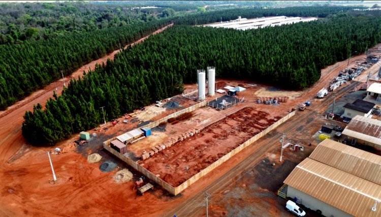 Cobb investe R$ 70 milhões em incubatório e ampliação de granja, ao todo serão R$ 200 milhões para investir no Brasil e América