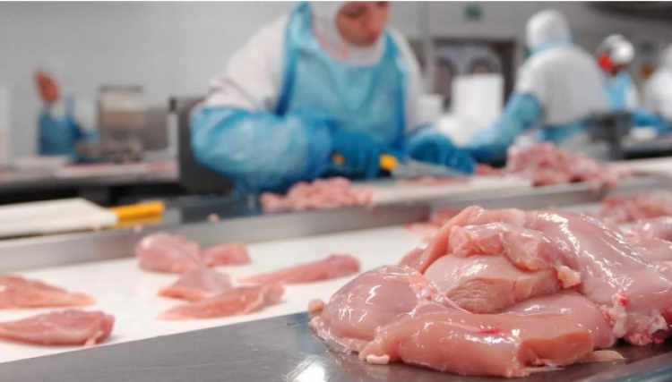 Argélia abre mercado para carne de frango do Brasil