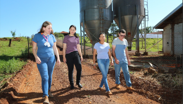 Bons manejos resultam em resultado de excelência para avicultores da Copacol