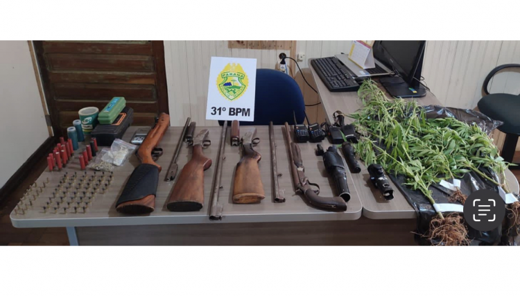 Plantação de maconha e armas são apreendidas em residência de Nova Aurora, veja o vídeo 