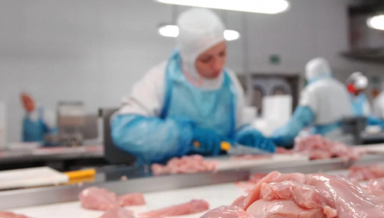 Redução no volume e faturamento das exportações de frango preocupam produtores