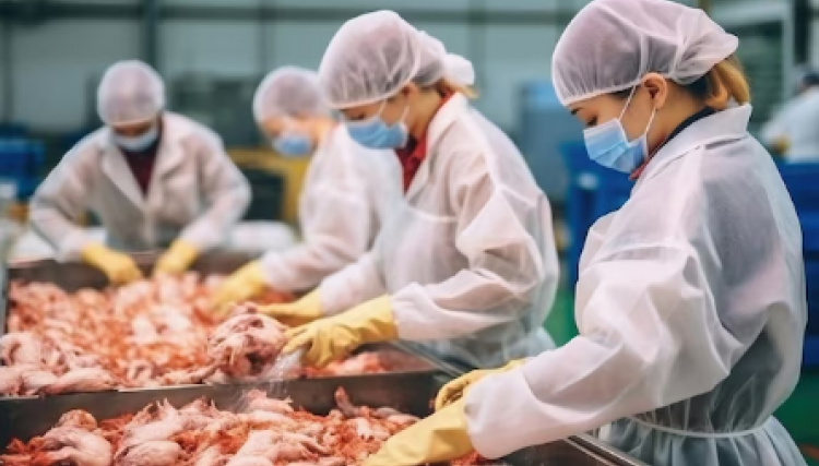 Exportações brasileiras de carne de frango crescem 7,3 % em julho, receita mensal aumenta 3,6%