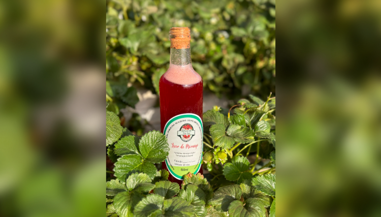 Conheça o Licor de Morango lançamento do Morangos São José 