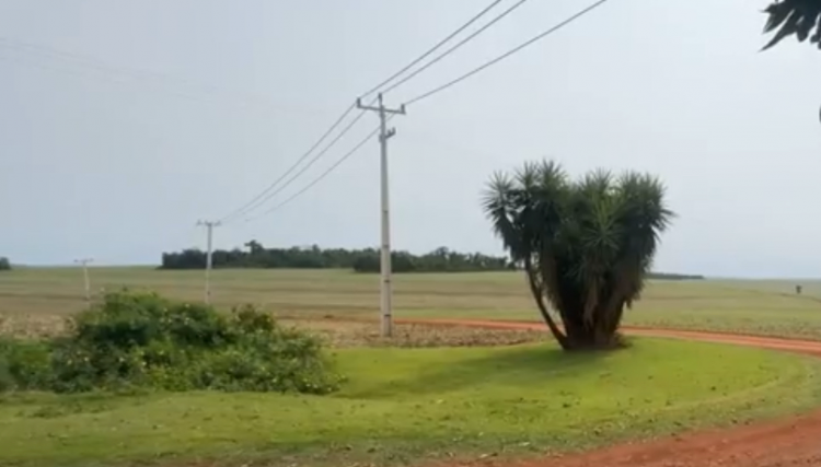 Corpo de homem executado com disparos de arma de fogo é encontrado em área Rural de Nova Aurora 
<br/>