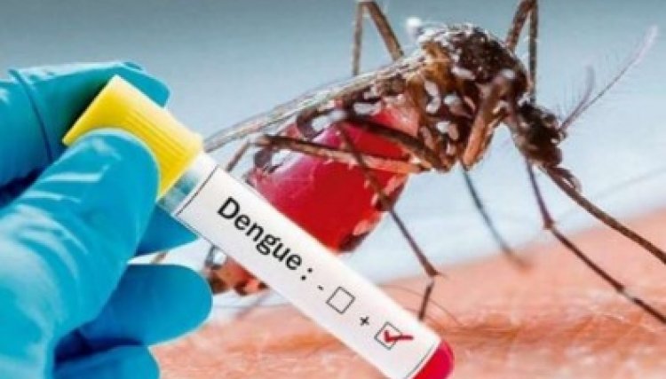 Cafelândia tem neste momento 21 casos positivos de dengue e 53 exames em espera do resultado