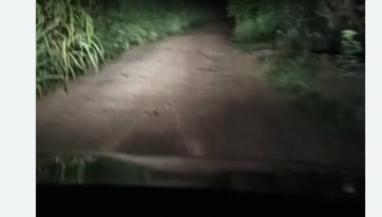 Homem sofre tentativa de assalto a mão armada em estrada Rural de Cafelândia 