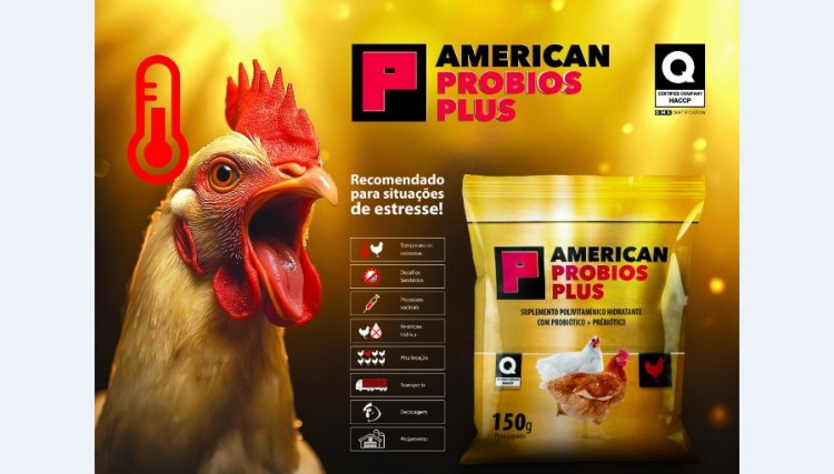 American Nutrients leva soluções de alto impacto para a avicultura no Simpósio Brasil Sul