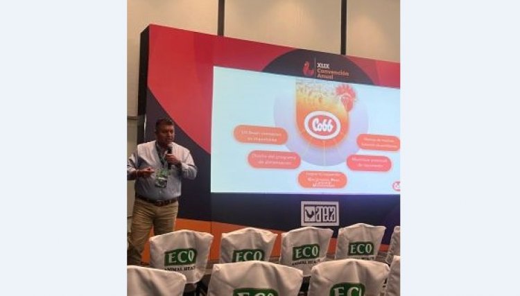 Cobb-Vantress destaca manejo ideal do macho MX na XLIX Convenção Anual da ANECA, no México