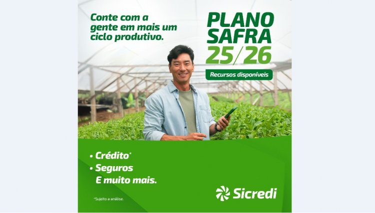 Sicredi disponibiliza R$ 68 bilhões no Plano Safra 2025/2026