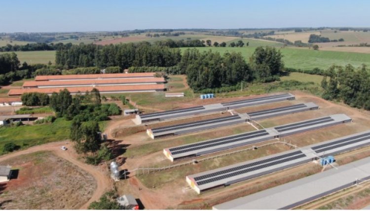 Investimentos gerados pelo setor fotovoltaico no Brasil devem ultrapassar R$ 39,4 bilhões em 2025