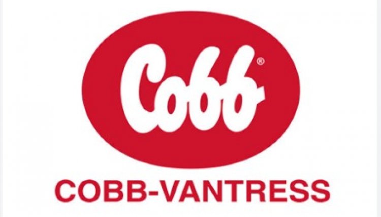 Cobb-Vantress anuncia os beneficiários das bolsas do Cobb Research Initiative (CRI) - Iniciativa de Pesquisa Cobb - 2025