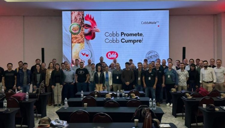 Cobb-Vantress realiza Workshop de Manejo Inicial com exclusividade para o time da Aurora Coop