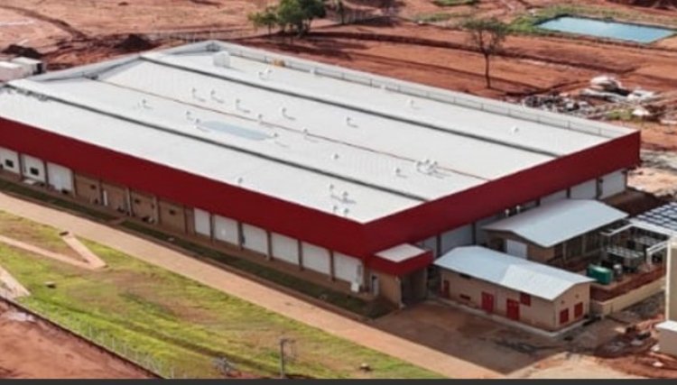 Cobb-Vantress inaugura maior incubat&oacute;rio da Am&eacute;rica Latina, em Prata (MG)