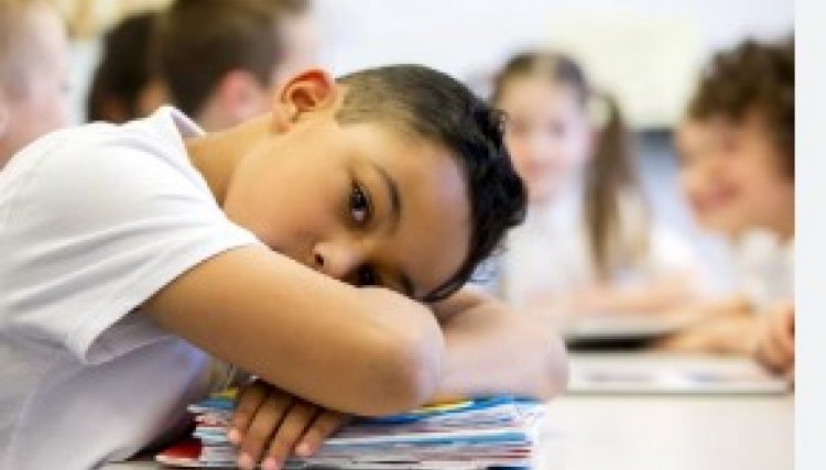 Educa&ccedil;&atilde;o de Cafel&acirc;ndia perde Selo Ouro que foi conquistado em 2024