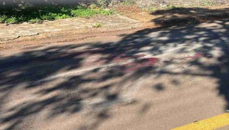 Ap&oacute;s ser atacado na rua homem atira em pitbull para se defender