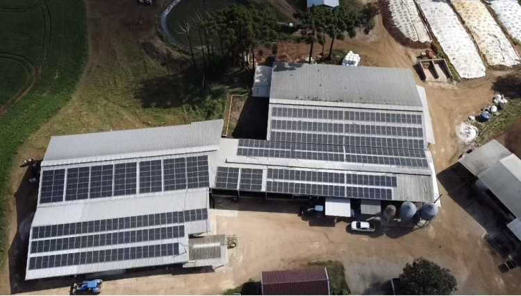 Reajuste nas tarifas da Copel refor&ccedil;a import&acirc;ncia da energia solar para reduzir impactos no bolso do consumidor